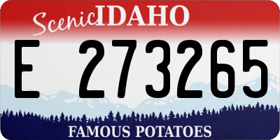 ID license plate E273265
