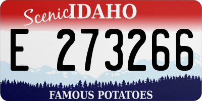 ID license plate E273266