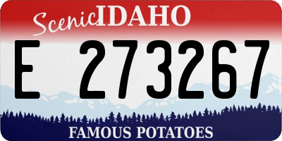 ID license plate E273267