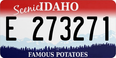 ID license plate E273271