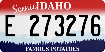 ID license plate E273276