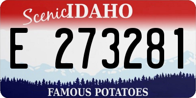 ID license plate E273281