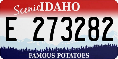 ID license plate E273282
