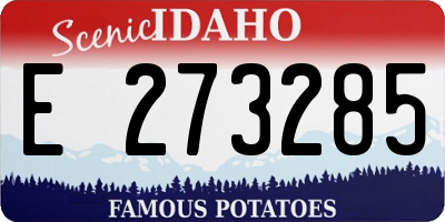 ID license plate E273285