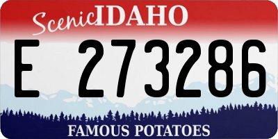 ID license plate E273286