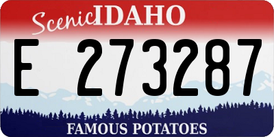 ID license plate E273287