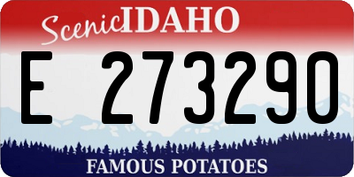 ID license plate E273290
