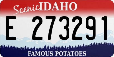 ID license plate E273291
