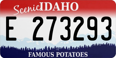 ID license plate E273293