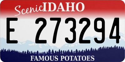 ID license plate E273294