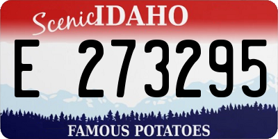 ID license plate E273295