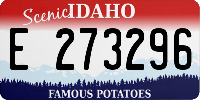 ID license plate E273296