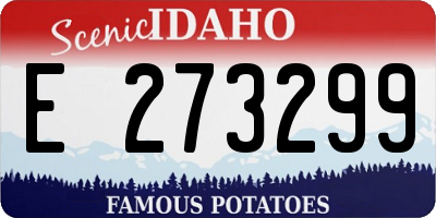 ID license plate E273299