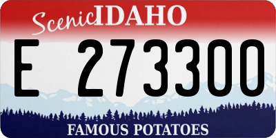 ID license plate E273300