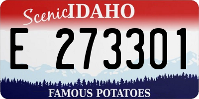 ID license plate E273301