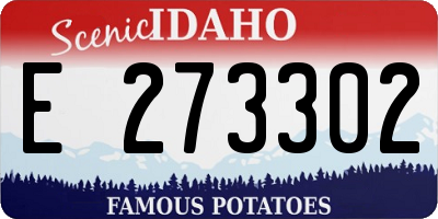 ID license plate E273302