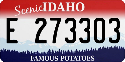 ID license plate E273303