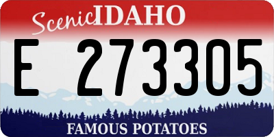 ID license plate E273305