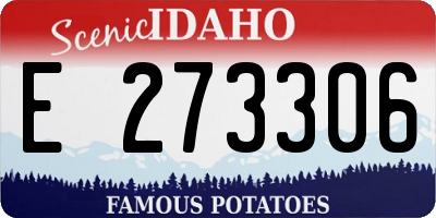 ID license plate E273306