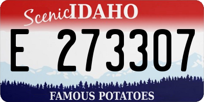 ID license plate E273307