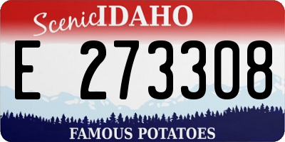 ID license plate E273308