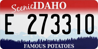ID license plate E273310