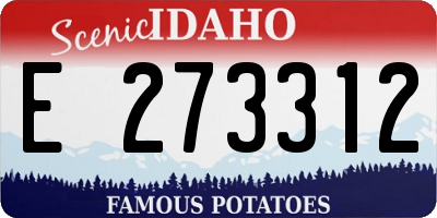 ID license plate E273312