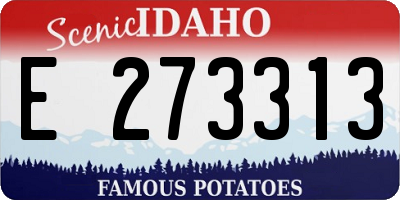 ID license plate E273313