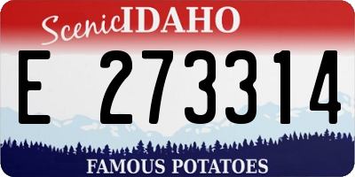 ID license plate E273314