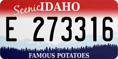 ID license plate E273316