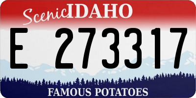 ID license plate E273317
