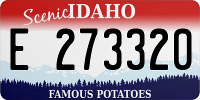 ID license plate E273320
