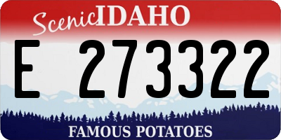 ID license plate E273322