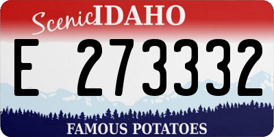 ID license plate E273332