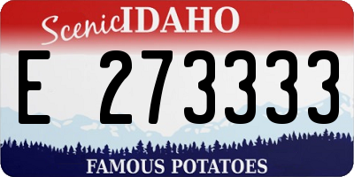 ID license plate E273333