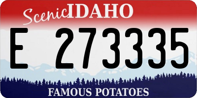 ID license plate E273335