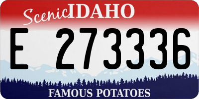 ID license plate E273336