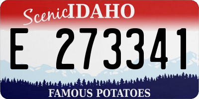 ID license plate E273341