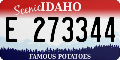 ID license plate E273344