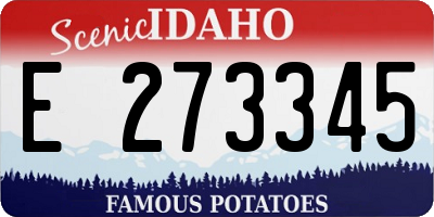 ID license plate E273345