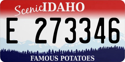 ID license plate E273346