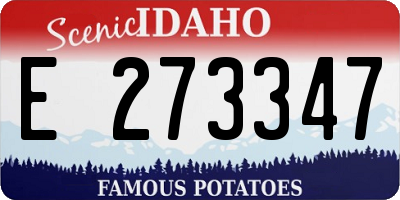 ID license plate E273347