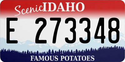ID license plate E273348