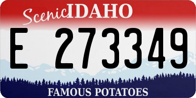 ID license plate E273349