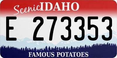 ID license plate E273353
