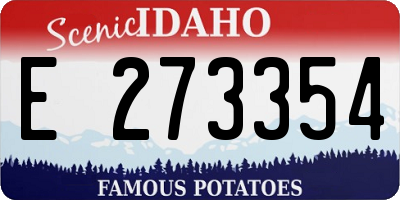 ID license plate E273354