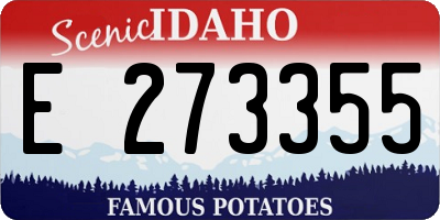 ID license plate E273355