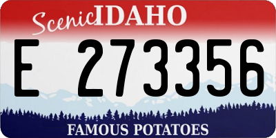 ID license plate E273356