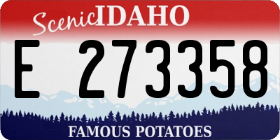 ID license plate E273358