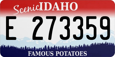 ID license plate E273359